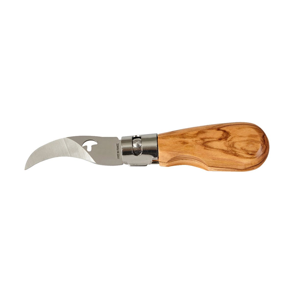 Couteau de poche spécial champignons en bois d'olivier - ALLWENEEDIS