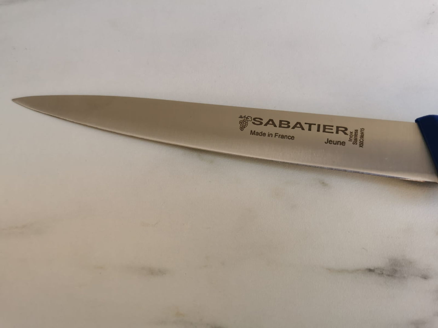 Couteau Filet de sole Sabatier 17cm - ALLWENEEDIS